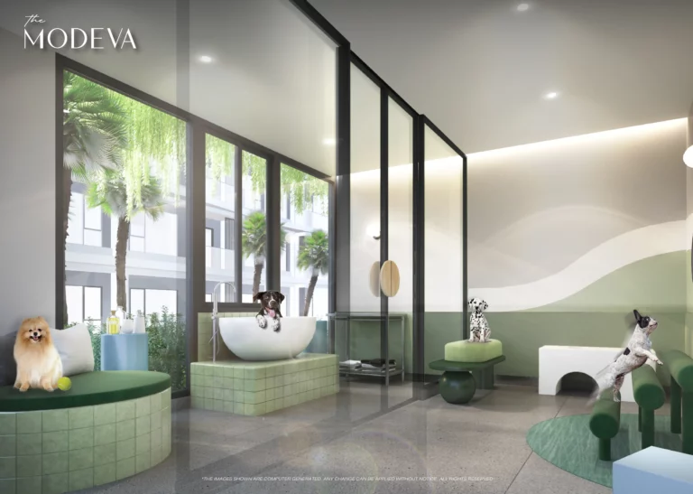 THE MODEVA PET GROOMING_DOG — копия